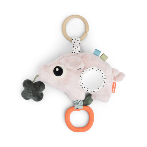Activity Sensory Toy – Pigee