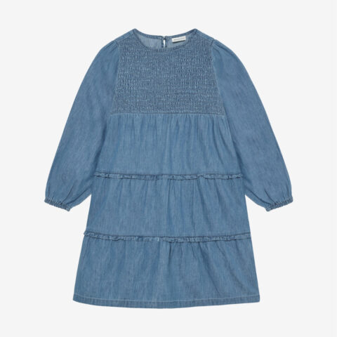 Dress Chambray