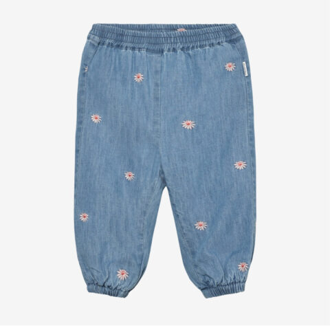 Pants Chambray