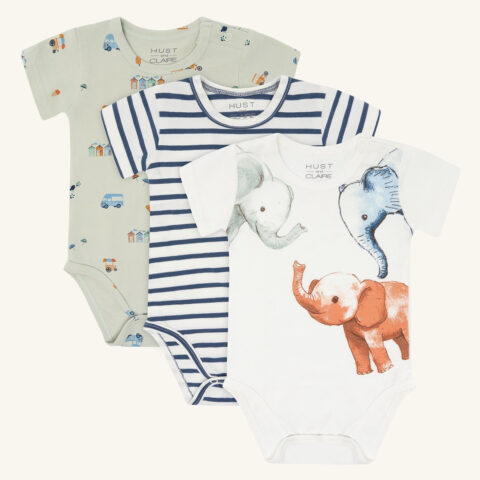 Bertram Holiday 3-pack