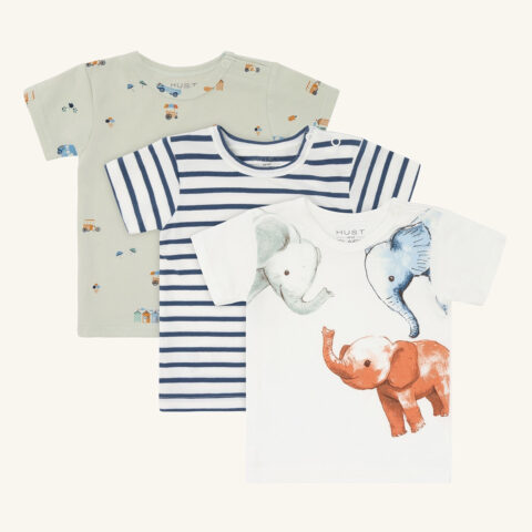 Albert Holiday 3-pack