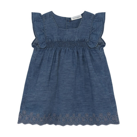 Dress Chambray