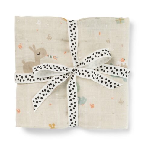 Burp Cloth (2) - Celebration